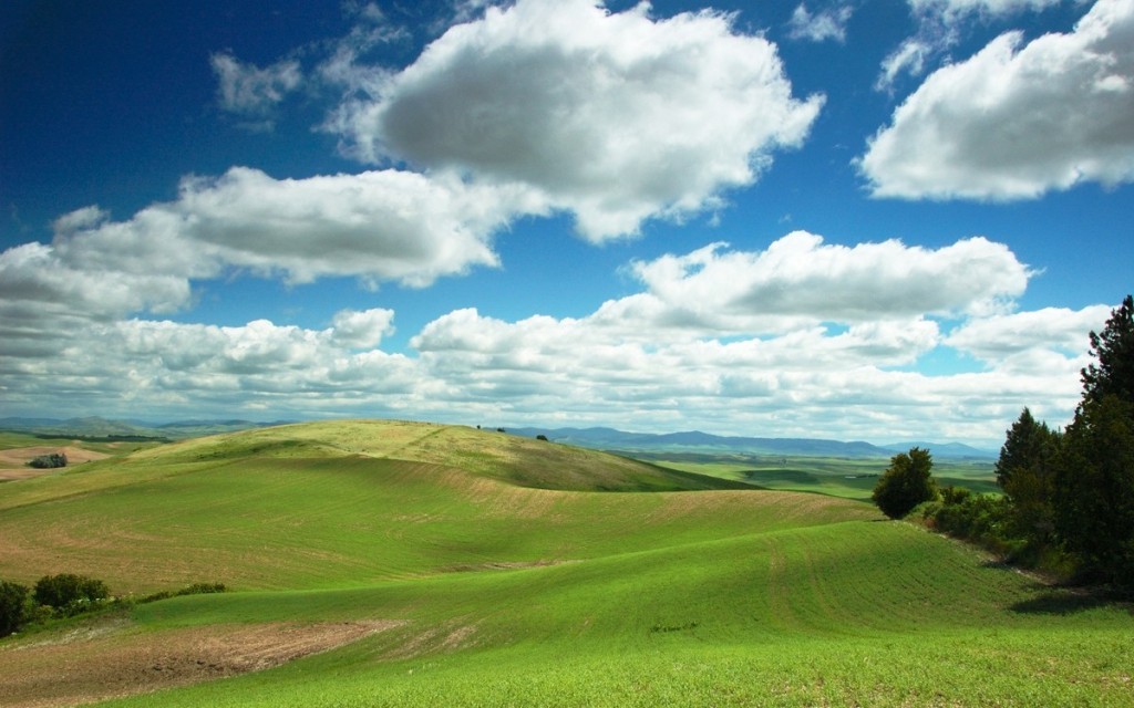 prairie1